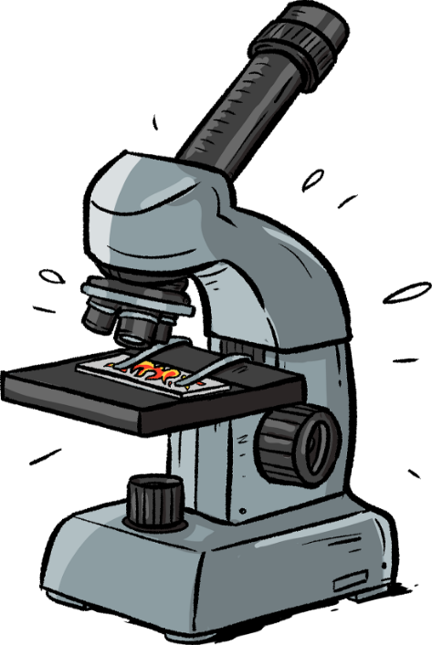 Grafika mikroskopu - zgagatek